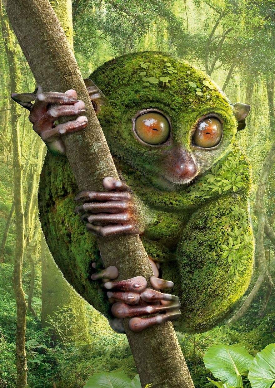 Зеленый долгопят (Green Tarsier)